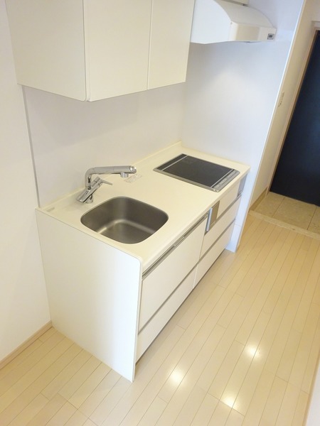 日神デュオステージ大森西 キッチン