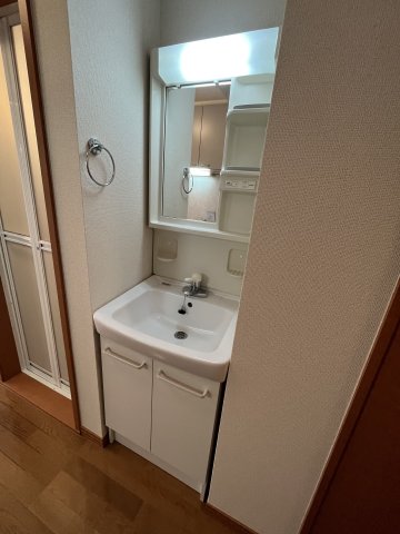 メイプル・ガーデン0106号室 洗面