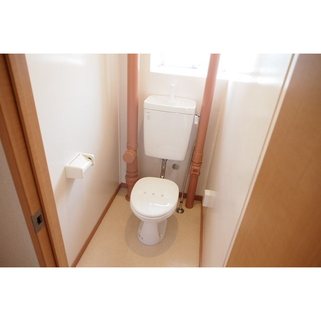 ラビアン花小金井301号室 内観