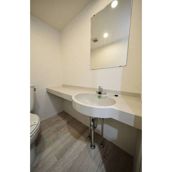 メゾン・ド・ヴィレ駒形0901号室 洗面