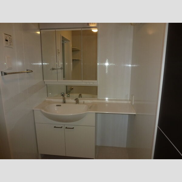 コーワ・ルミエール　参番館205号室 洗髪洗面化粧台