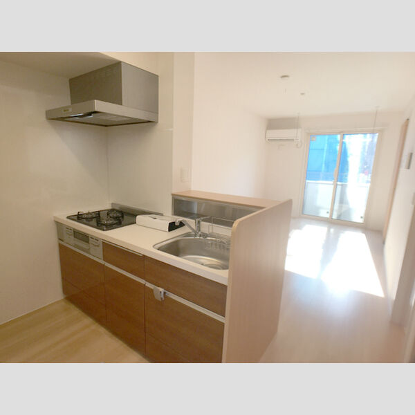 アビータ102号室 システムキッチン