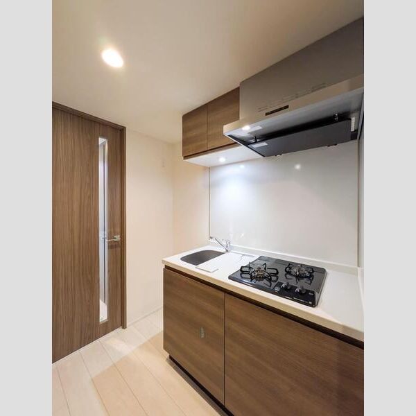 S-RESIDENCE横濱吉野町burgeon502号室 キッチン