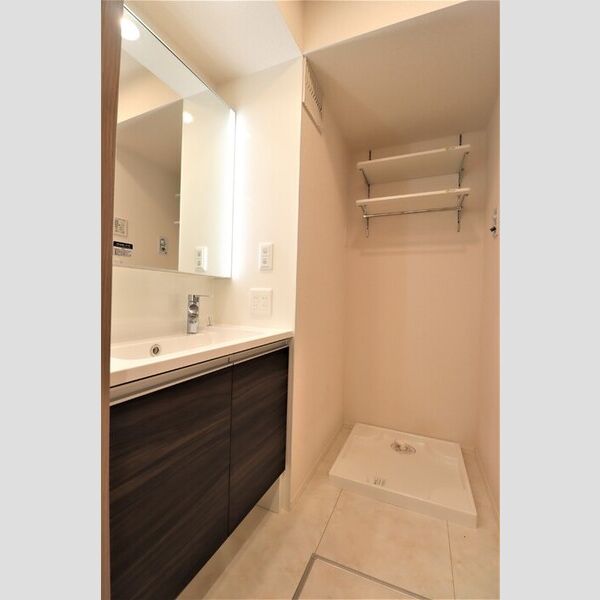 セレスティア中台Ⅱ303号室 洗面所