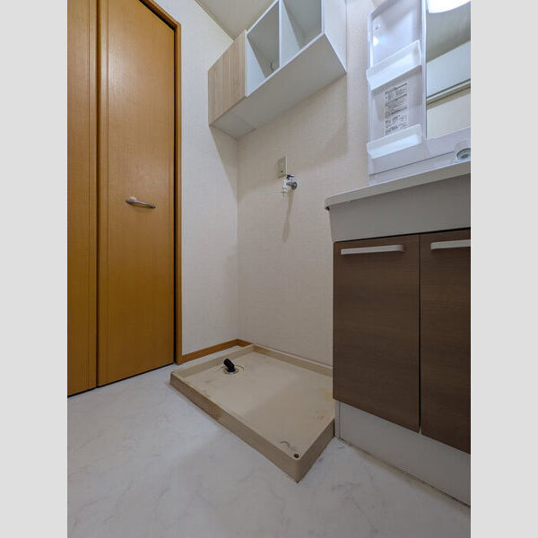 武笠テラスハウス　D103号室 洗面