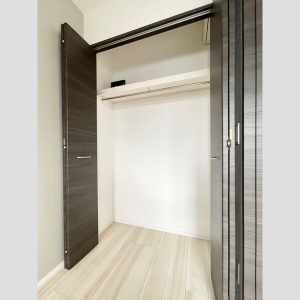 ロイジェント練馬高野台0405号室 洋室-クローゼット