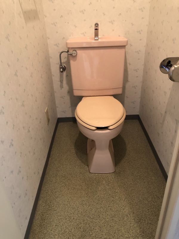 ハイリード・セイフウ8階 トイレ