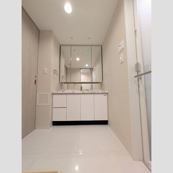 カスタリア高輪0216号室 洗面所