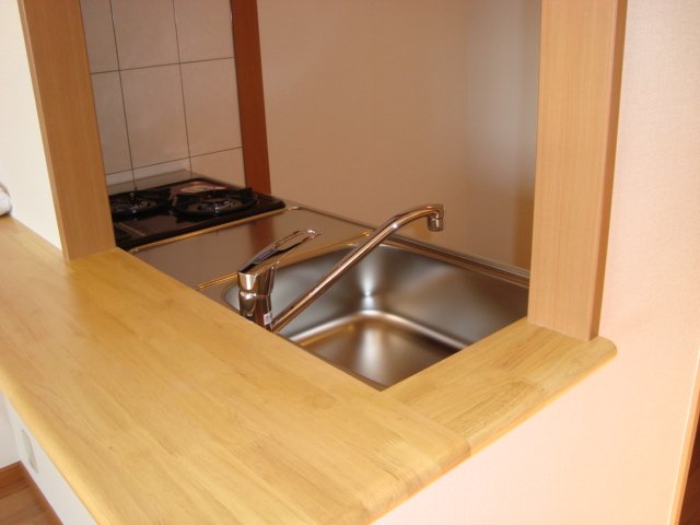 ヴィアーレ・ガーナ403号室 キッチン