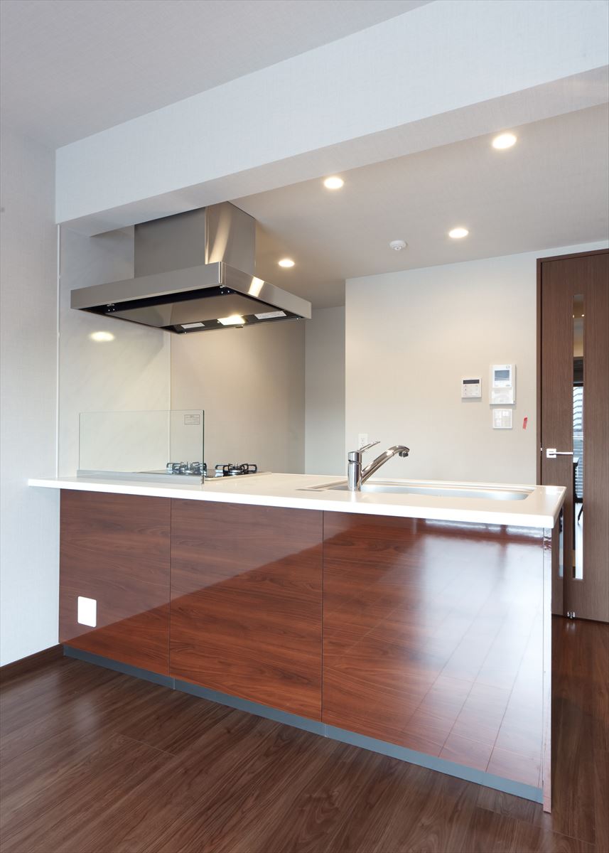 DIPS南六郷208号室 キッチン