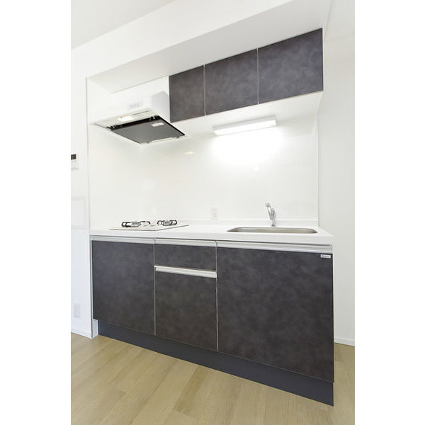 CREAL文京千石Ⅱ0401号室 キッチン