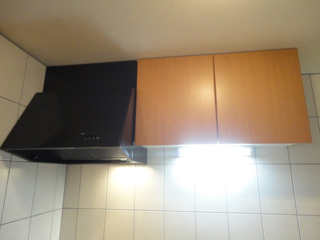 リバーシティ石塚301号室 レンジフード・吊戸棚