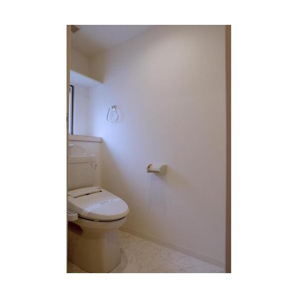 グリーンハイツ トイレ