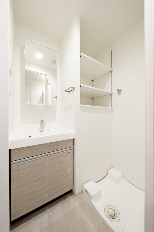 ドゥーエ入谷Ⅰ6階 洗面