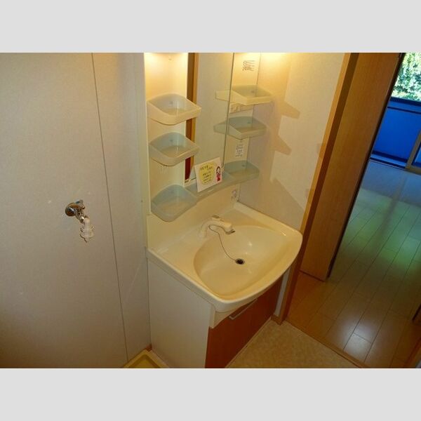 サンヴィラージュ　D202号室 洗髪洗面化粧台