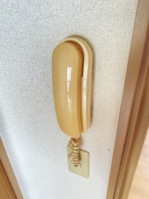 ドミール上北台0102号室 セキュリティ