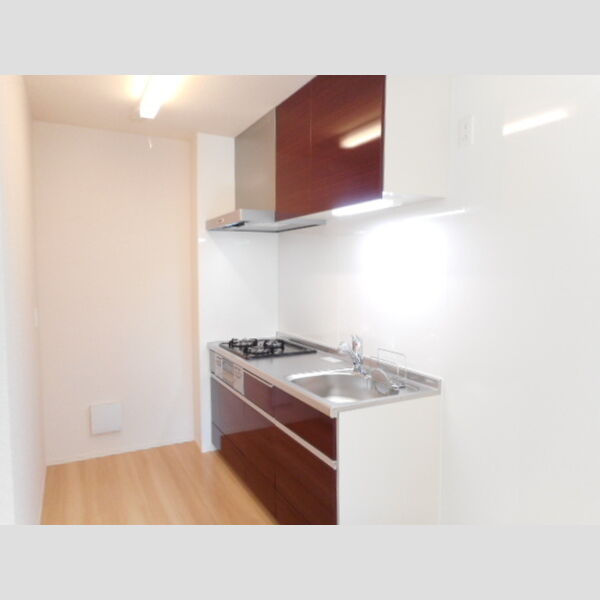 アイビーコートT102号室 3口ガスコンロ付システムキッチン