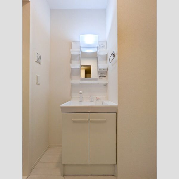 セレスティア西台B102号室 洗面所