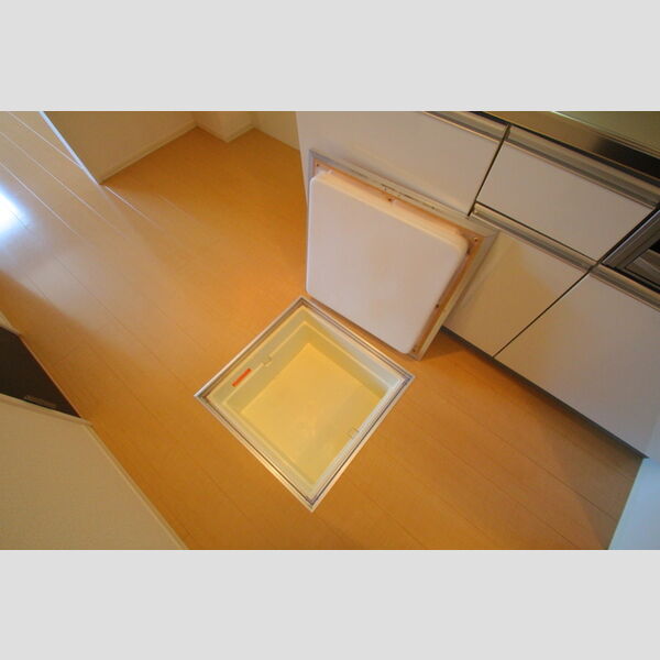 Residence Kamiya102号室 床下収納