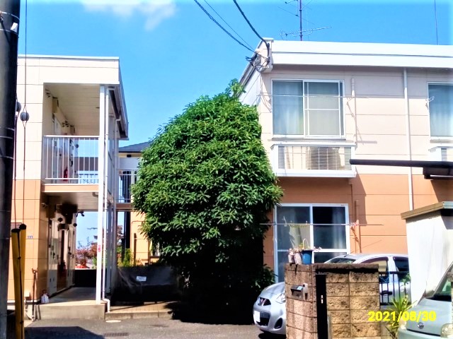 レオパレスｙａｎａｇｉの外観画像