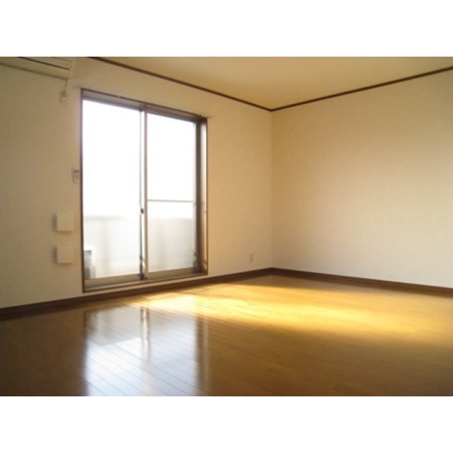 アムール SHINYA201号室 内観