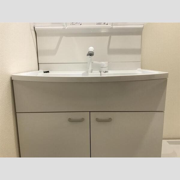 リーブルファイン浦和美園302号室 洗面