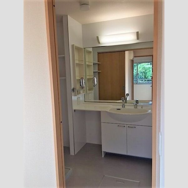 ロイヤルコート　B208号室 洗髪洗面化粧台