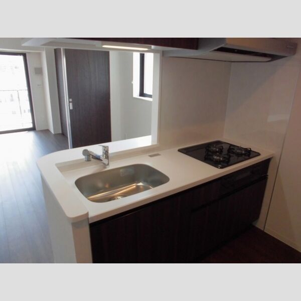 ポラリス菊川603号室 システムキッチン