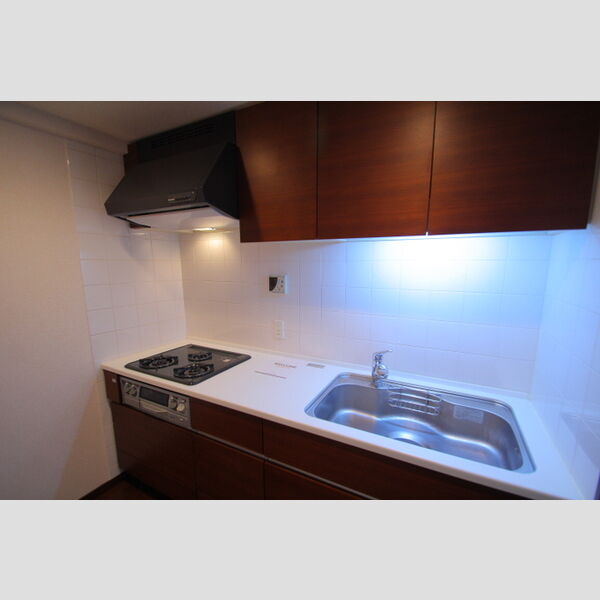 レーベンリヴァーレクロス東京 キッチン