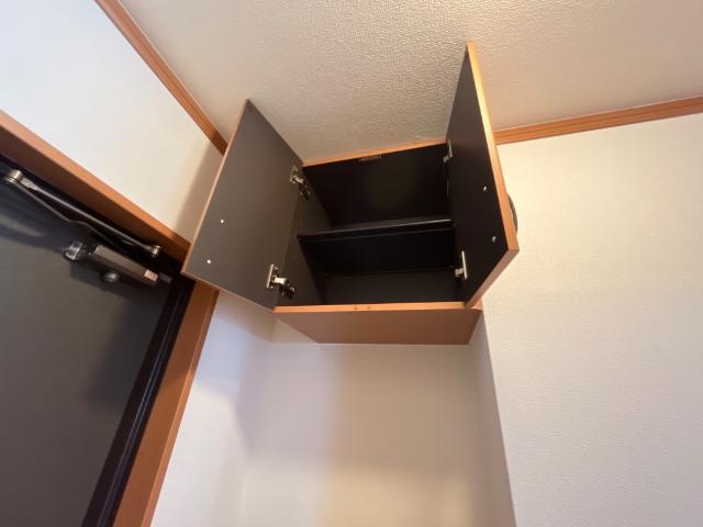 Ｇｒａｎｄｅ　Ｖｉｌｌａ（グランデ　ヴィラ）208号室 下駄箱