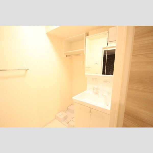 アルビネス東十条201号室 洗面所