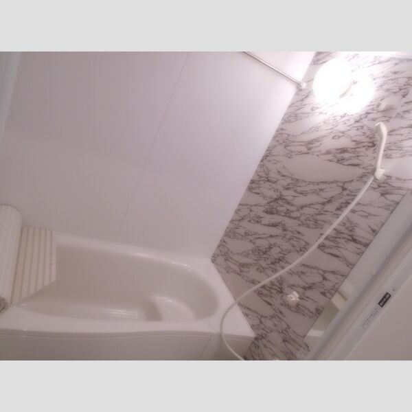 ルミニョンセパル　AA101号室 浴室