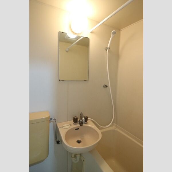 グリーンプラザ　A208号室 洗面台