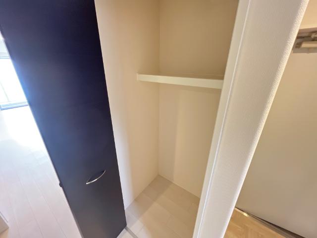 フォルトゥーナ（Ｆｏｒｔｕｎａ）501号室 収納