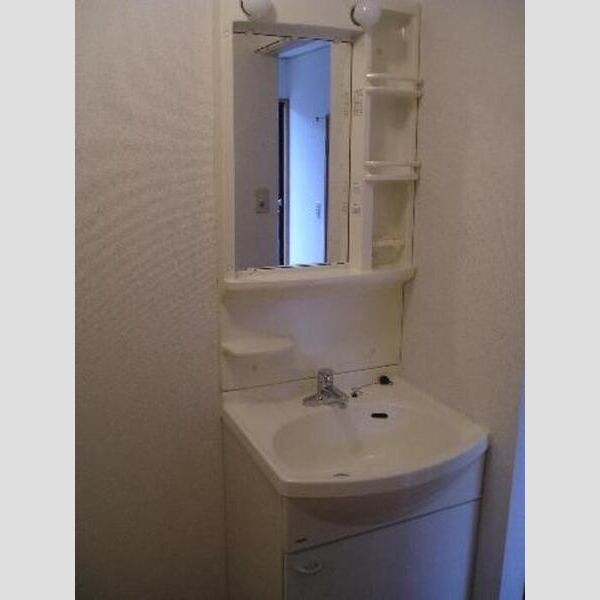 ジュネス西新井　Ⅰ・ⅡI201号室 洗面台