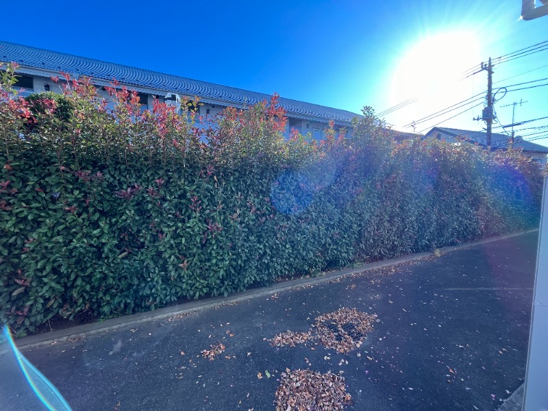 コリーヌ・F1階 ※別号室写真