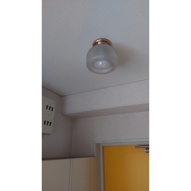 成城ロイヤルマンション0207号室 玄関照明