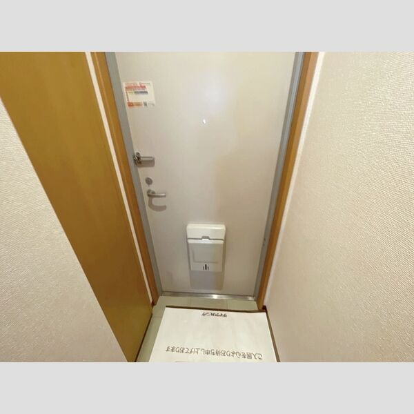 ロイヤルハイツFUJI205号室 玄関ポーチ