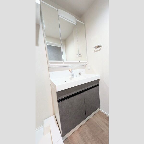 ロイジェント潮見0606号室 洗面所