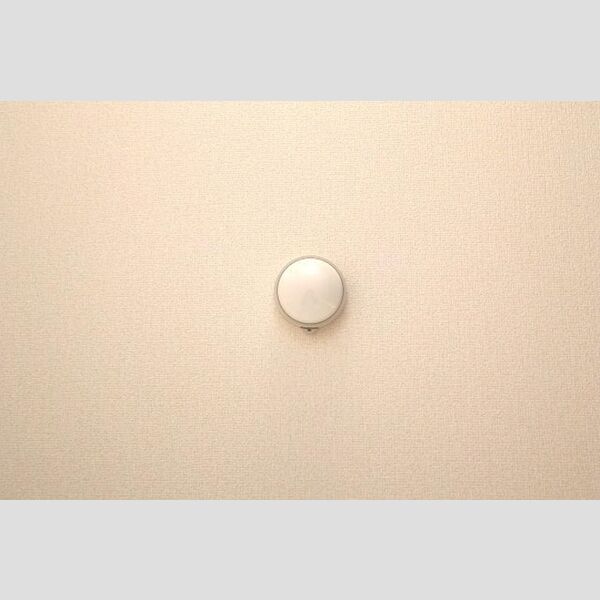 ルリアン北小岩Ⅲ105号室 住宅用火災警報器