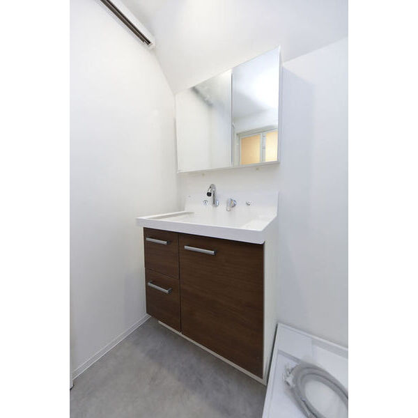 サリースマイル参番館0101号室 洗面