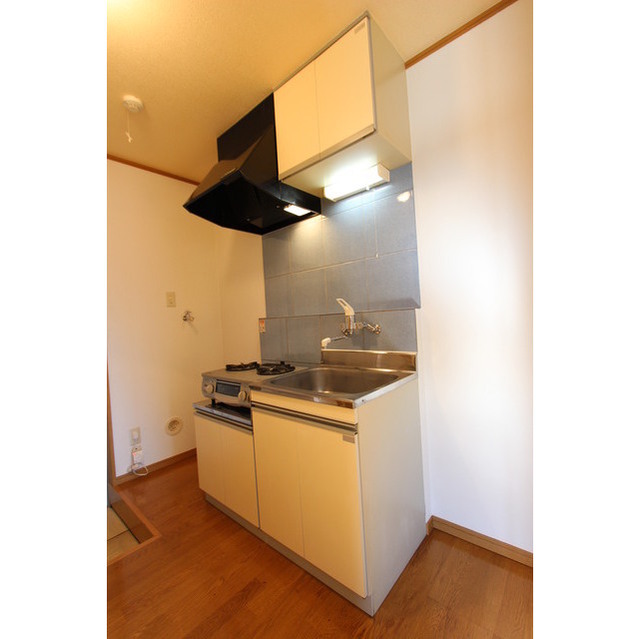 ラ・ヴィータ201号室 キッチン