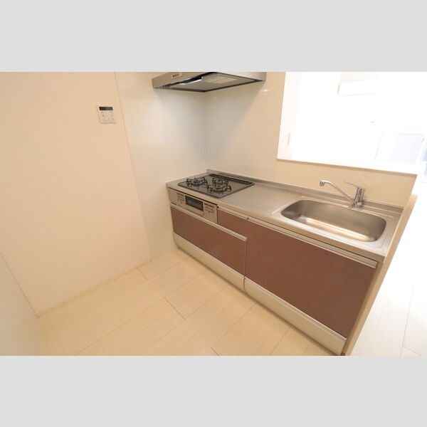 アンリシール・レイク 対面式システムキッチン