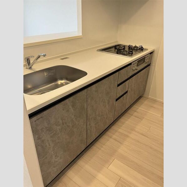 S-RESIDENCE瑞江702号室 キッチン