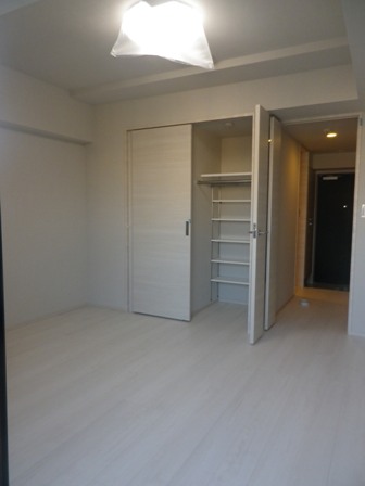 DIPS墨田EAST201号室 収納