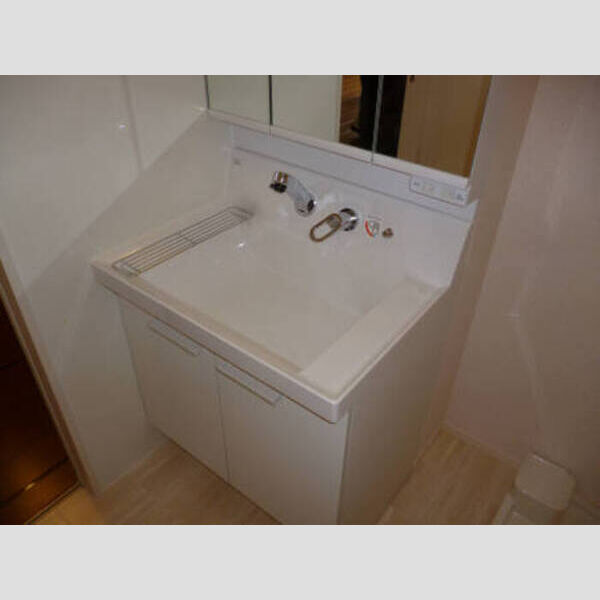 セレナ東海岸北A201号室 洗面化粧台