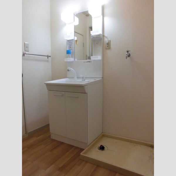 メゾン石神102号室 洗面