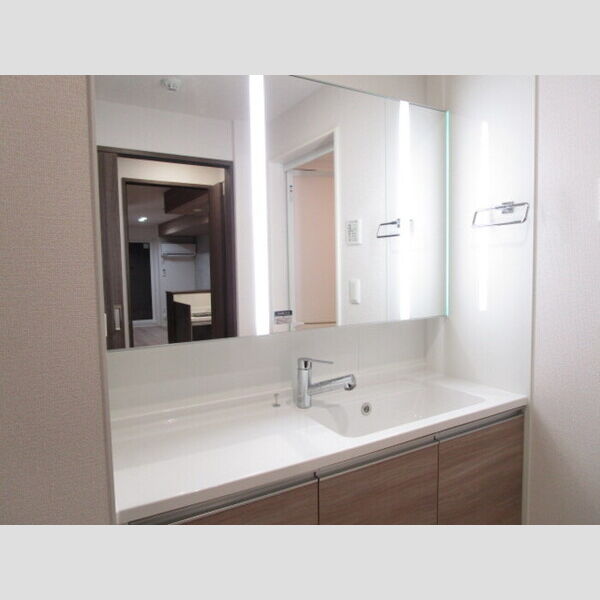 ラ・ペッシュ308号室 洗髪洗面化粧台