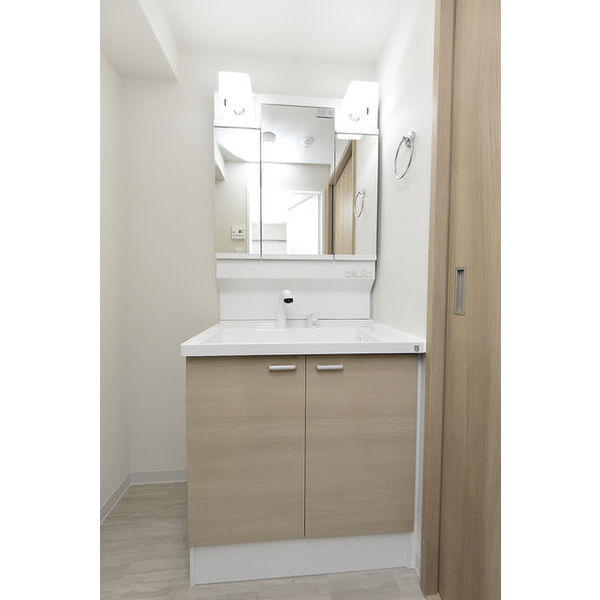 クリオ　ラモード学芸大学Ⅱ0404号室 洗面