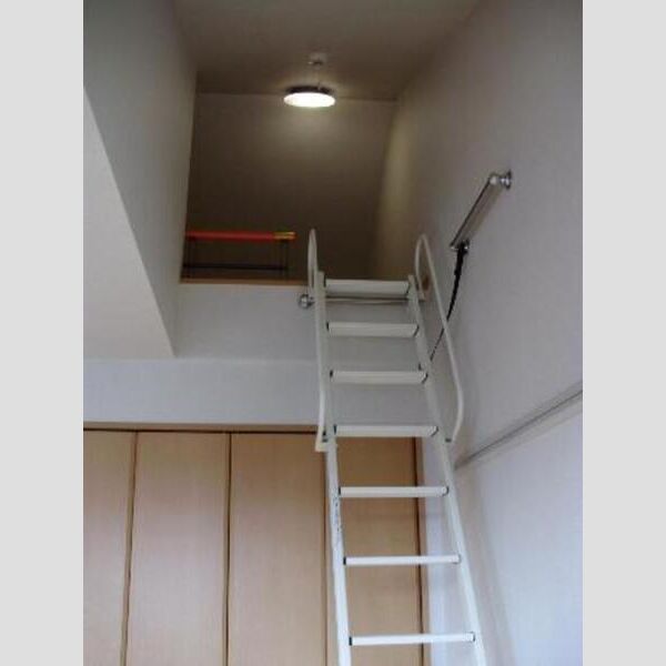 アメジストセージ206号室 ロフト